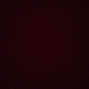 Meet your Posher, Zevy